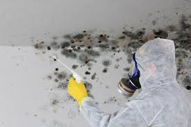 Best Air Quality Testing for Mold Spores in USA